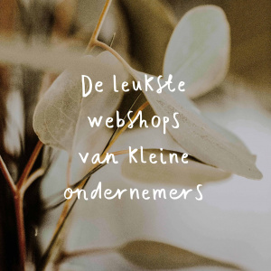 De leukste webshops van kleine ondernemers