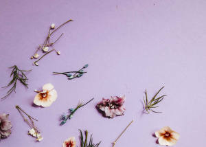 Waarom ik vrijwel nooit geld uitgeef aan bloemen.