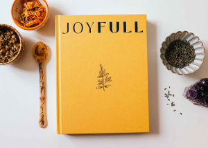 Joyful - Radhi Devlukia Shetty - book review