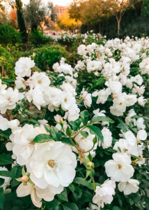 Featured image voor terugblik op 2024