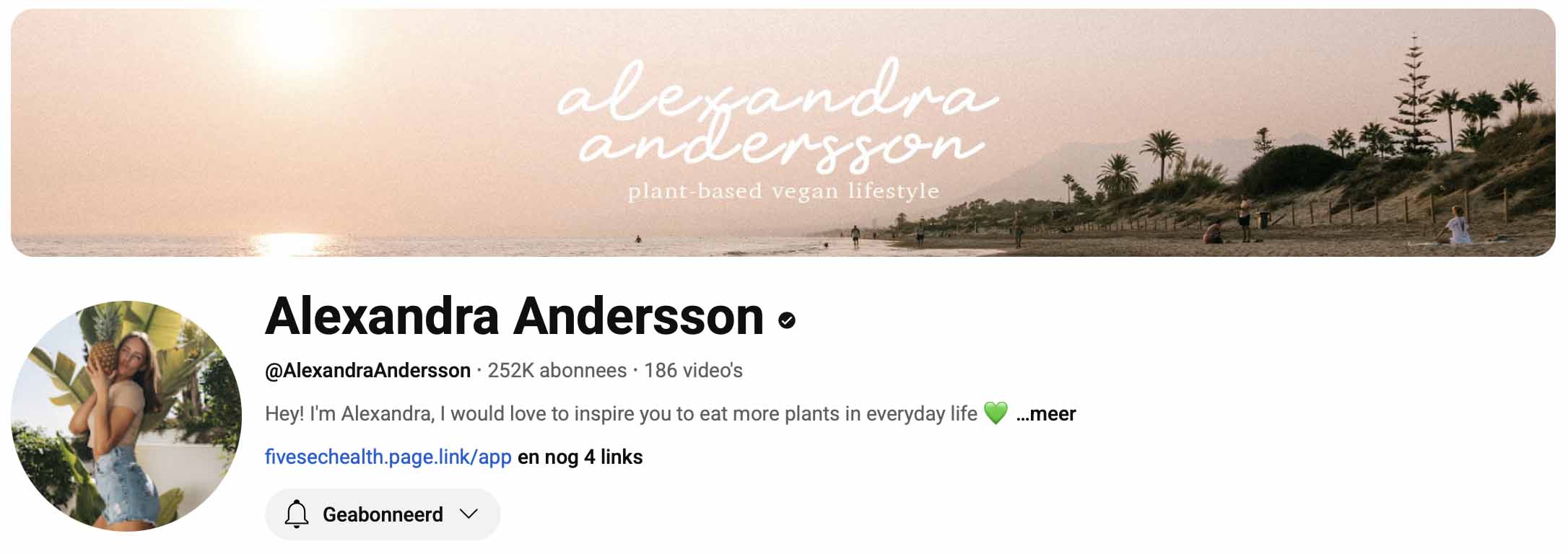 Alexandra Andersson - Youtube kanaal
