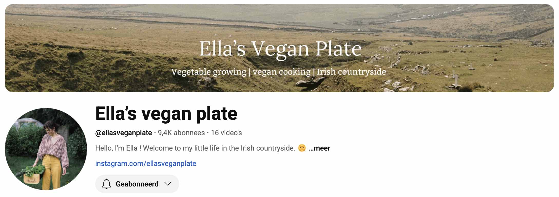 Ella's Vegan plate - Youtube kanaal